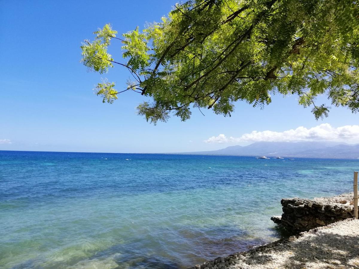 Southseas Beach Resort And Dive Center Santander Εξωτερικό φωτογραφία
